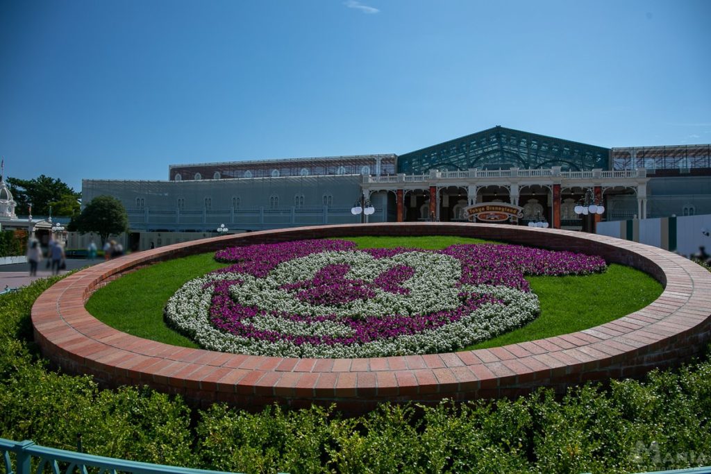 ミッキー花壇 がリニューアル エントランスの花壇配置が大きく変更 ミッキーのデザインに手直し ディズニーリゾートまにあ
